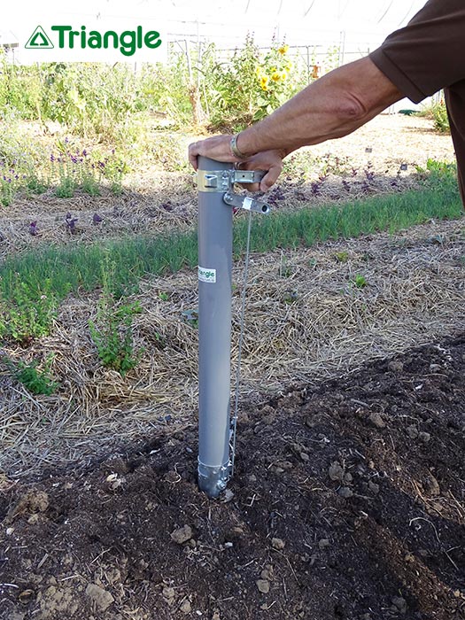 Canne à planter